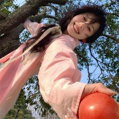 新·驯龙高手